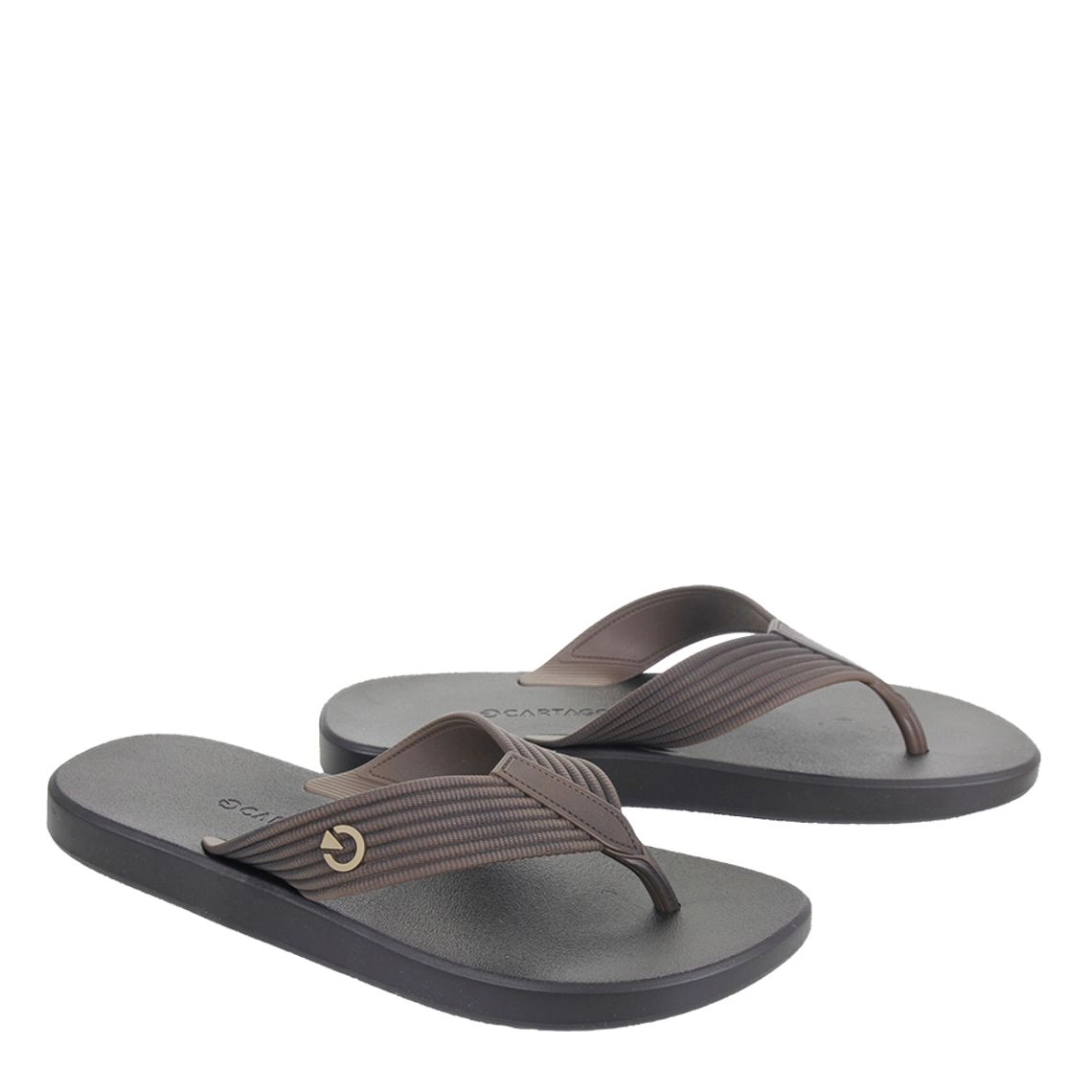 Chinelo Cartago Montreal Marrom/mar