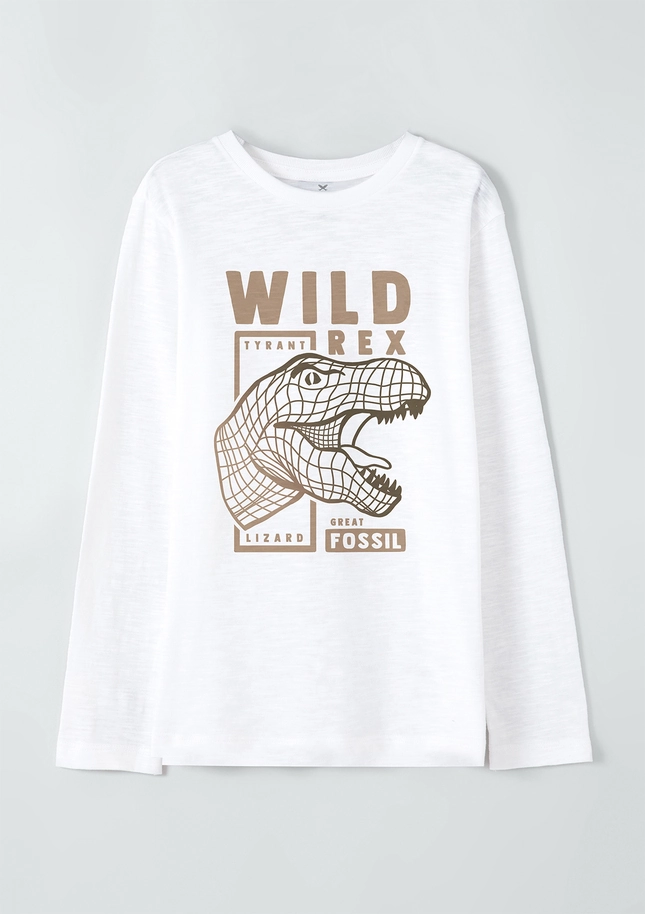 Camiseta Ml Masc Hering 5d6g1ven/012