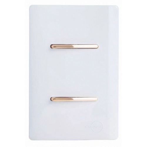 Cj Interruptor Duplo Simples Com Suporte 4x2 - Dicompel Novara Branco Gold