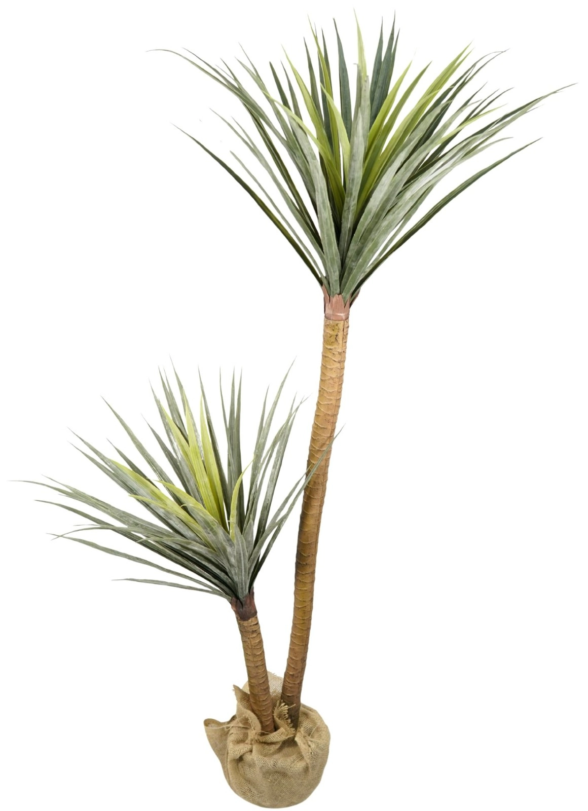 Arvore Yucca Elefante Luxo X2 150cm 4297 Mc Flores