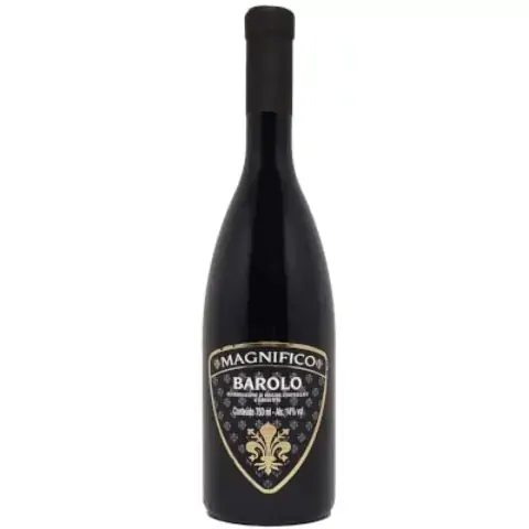 Vinho Magnifico Barolo 750ml