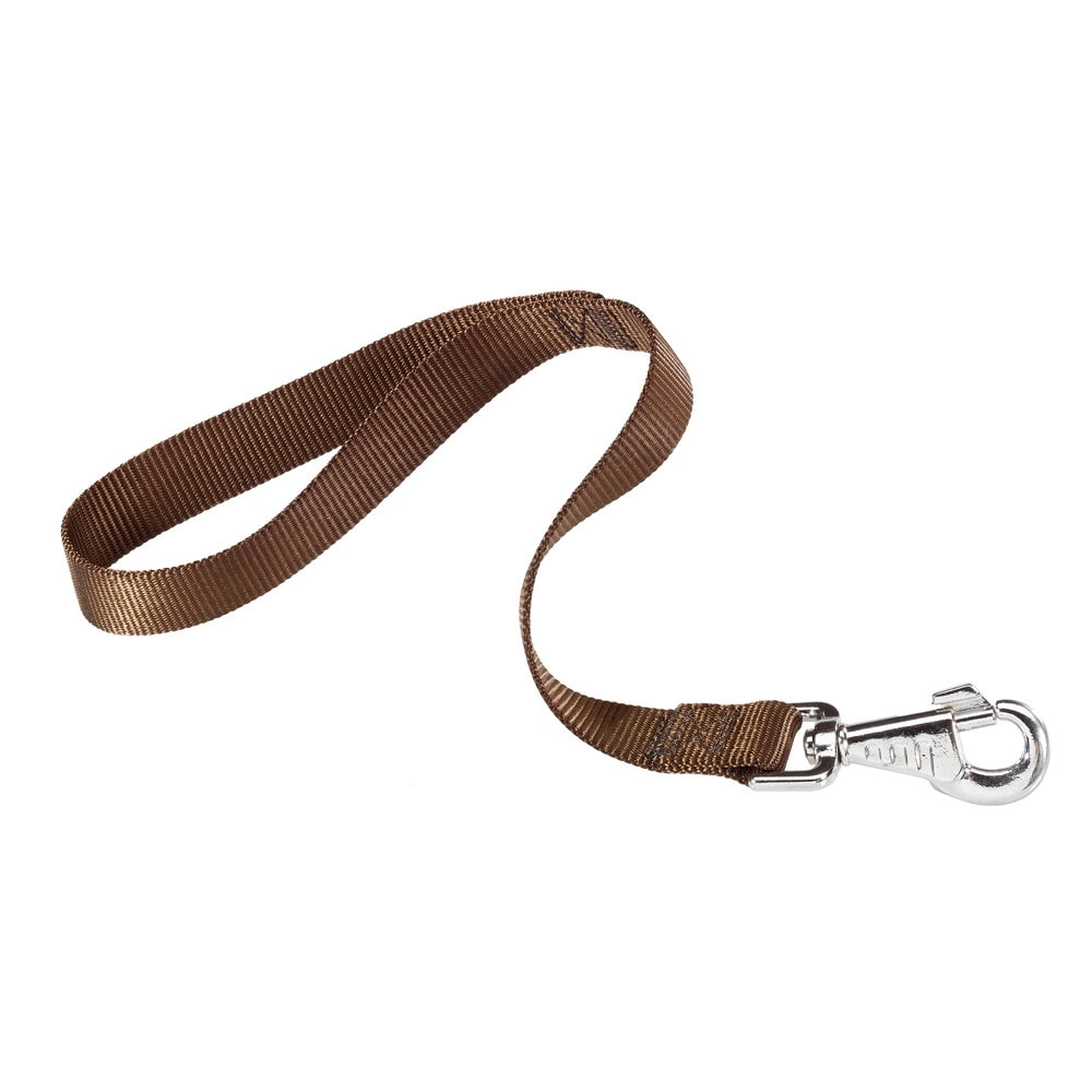 Guia Para Cães Club Nylon Gm25/45 Marrom Ferplast