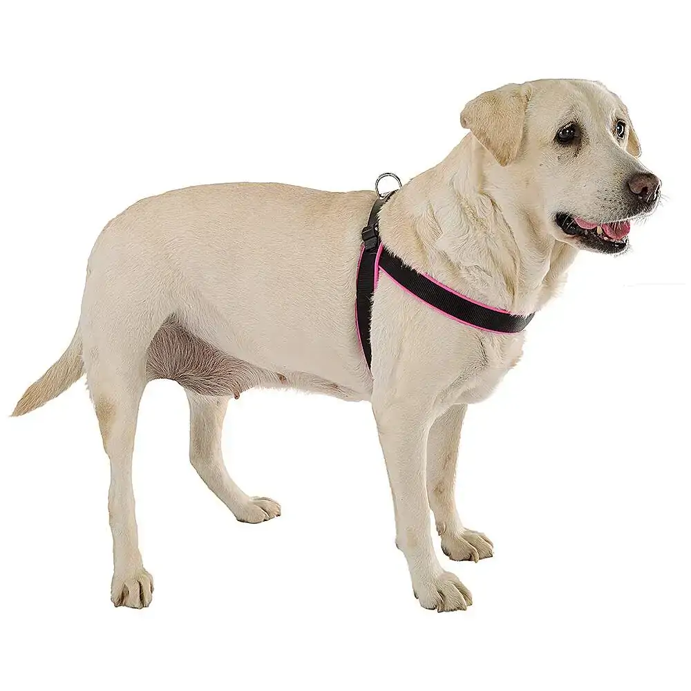 Peitoral Ferplast Agila Fluo Rosa E Preto Para Cães Até 35kg