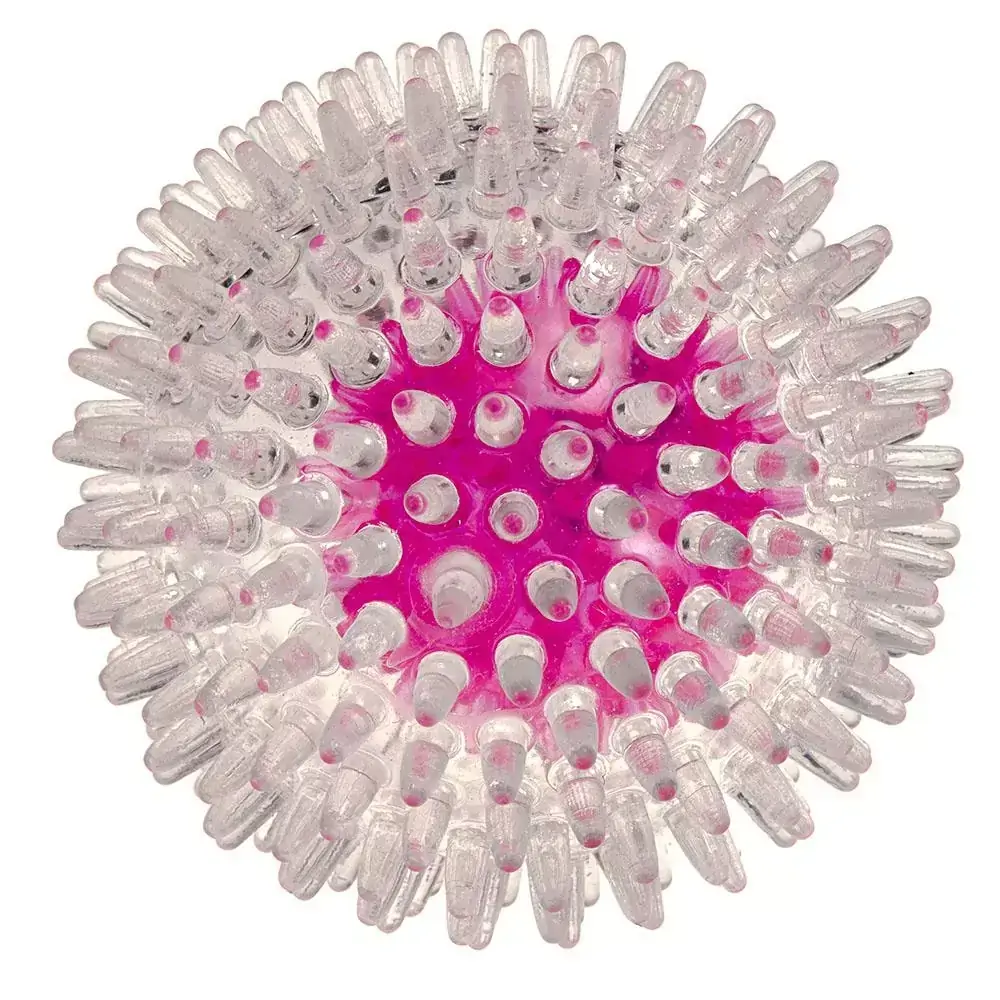 Bola que pisca - Ferplast