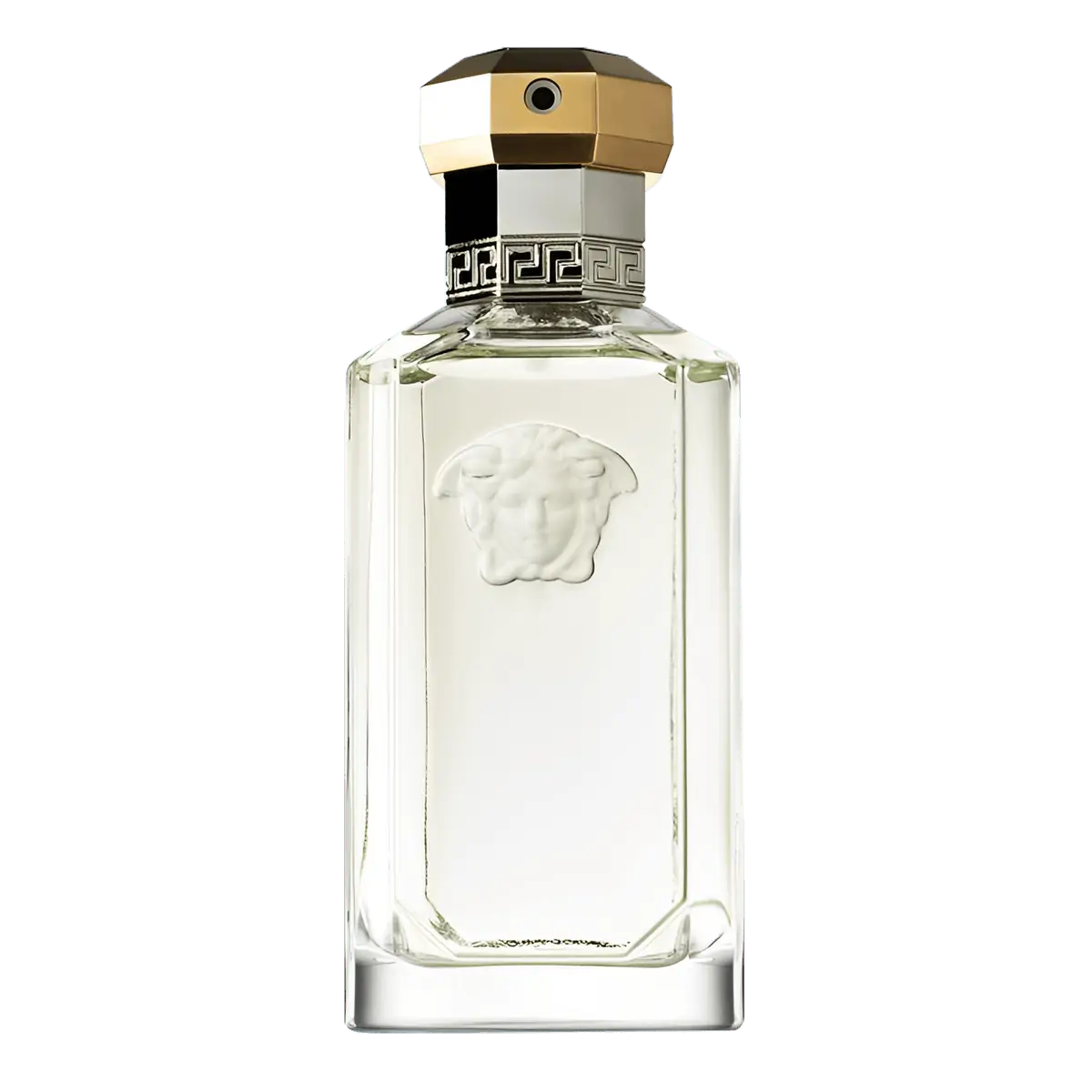 Versace The Dreamer Eau de Toilette - Perfume Masculino - 100ml