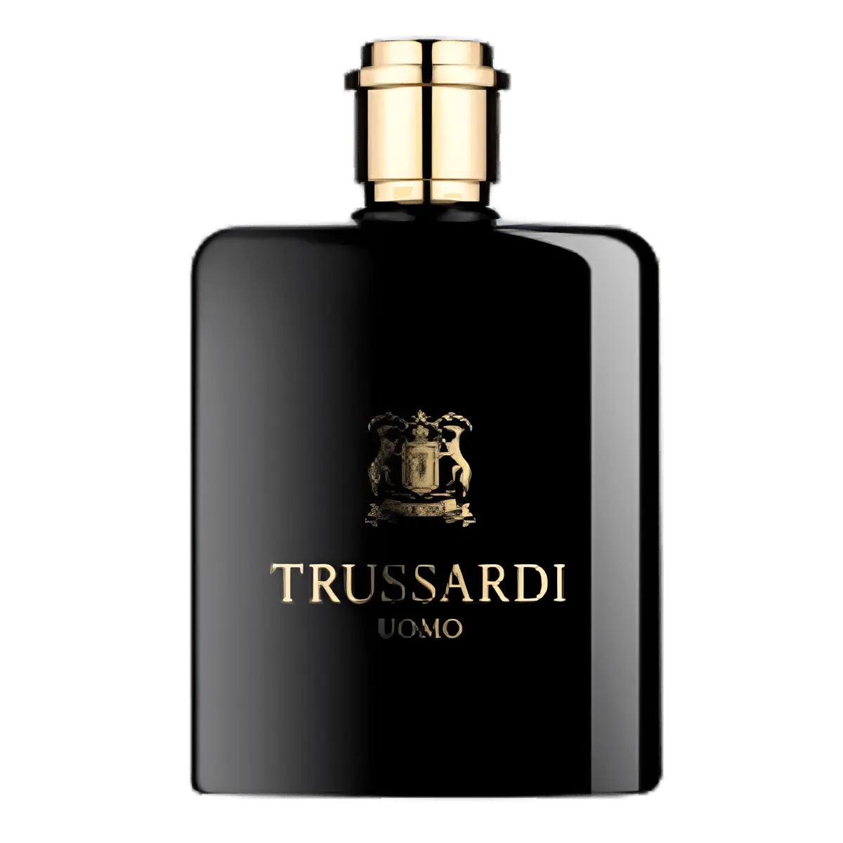 Trussardi Uomo Eau De Toilette - Perfume Masculino 100ml 100ml