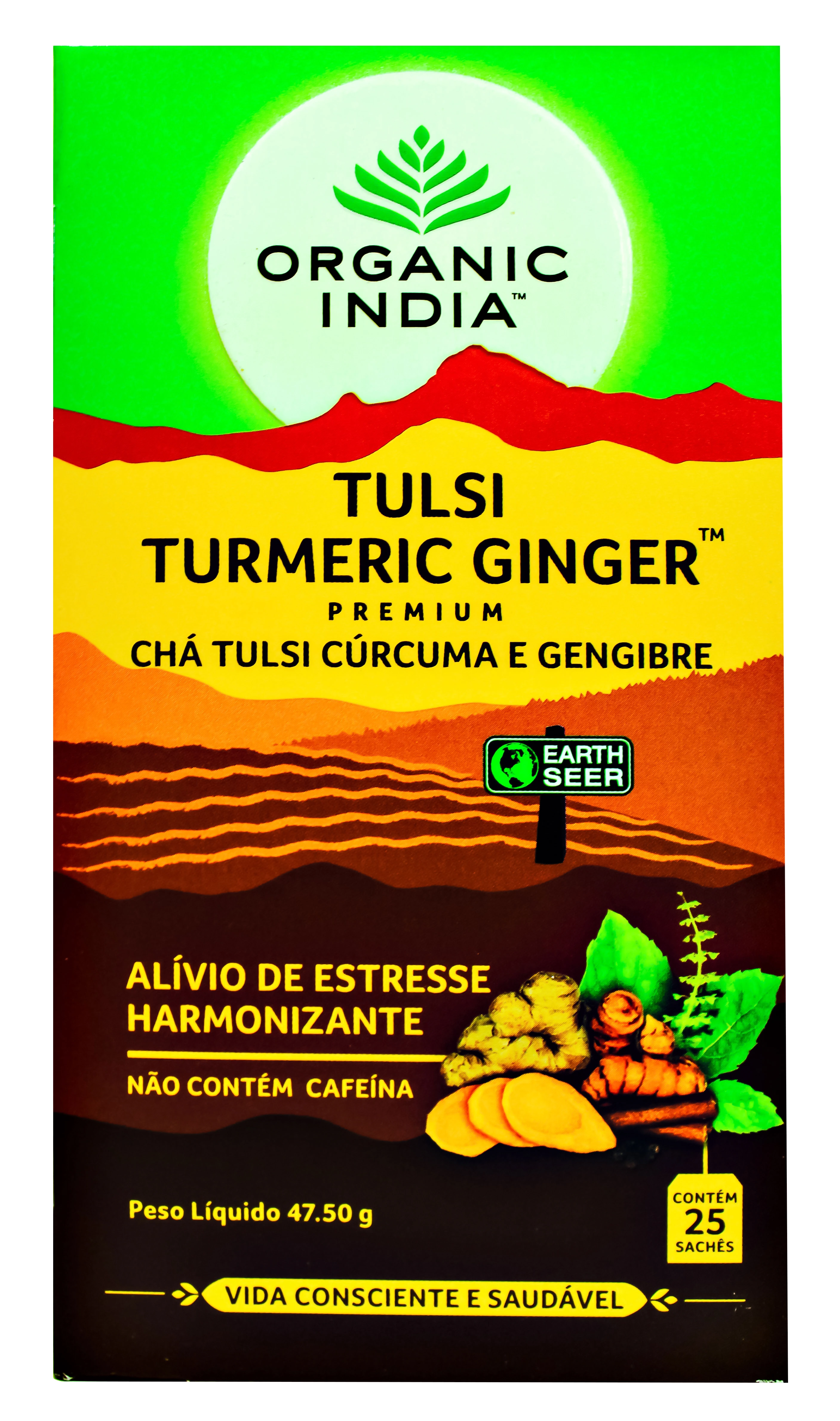Cha Turmeric Ginger Organic India 45g