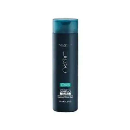 Shampoo Alfaparf Uomo Energetic Silver