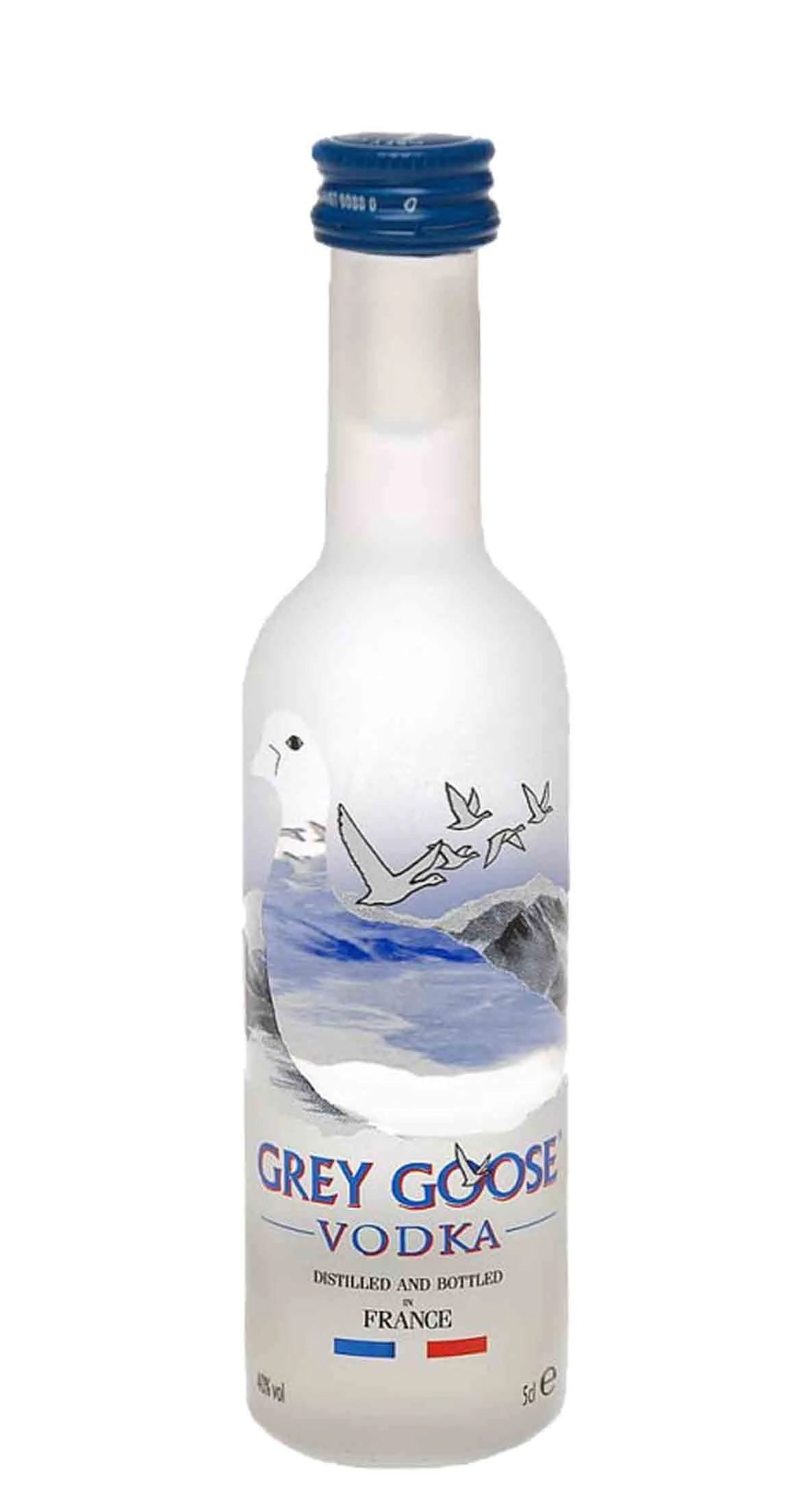 VODKA GREY GOOSE MINI 50ML