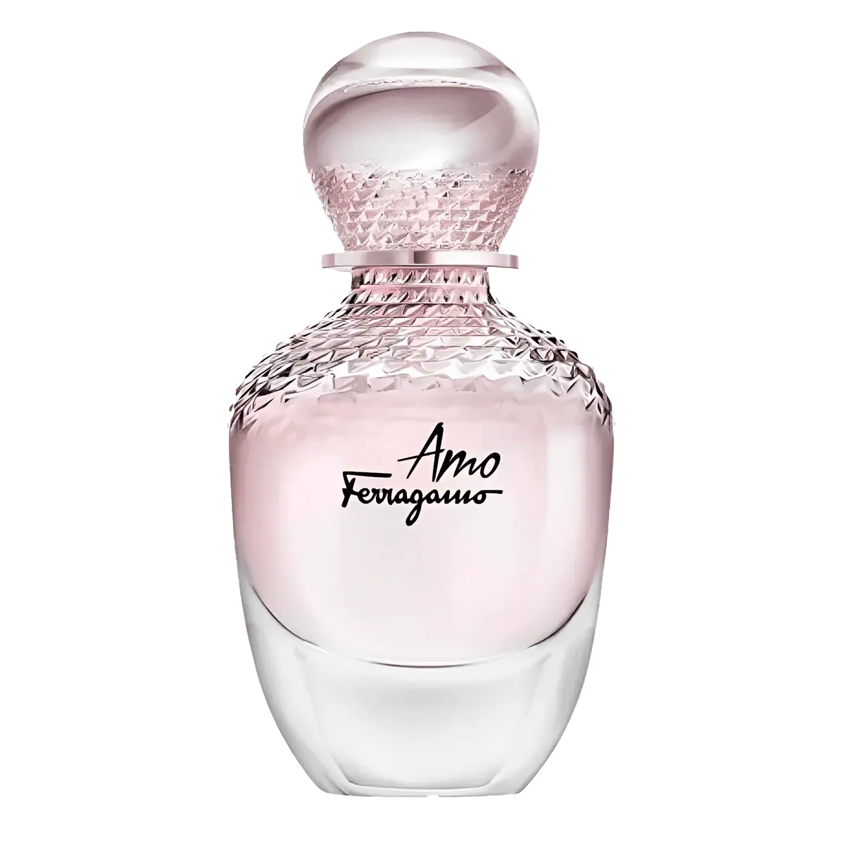 Salvatore Ferragamo Amo Ferragamo Eau de Parfum - Perfume Feminino - 100ml 100ml