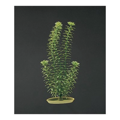Marina Aquascaper Anacharis Plant Decoration Size Medium 8 H