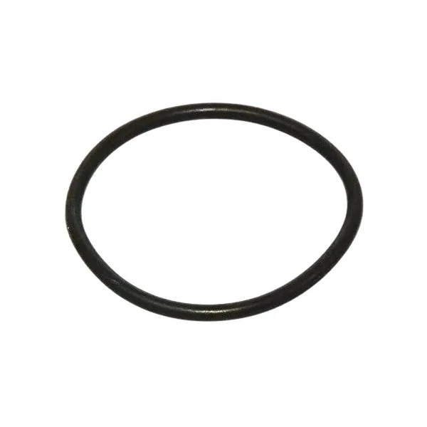 Anel Vedador do Sensor Maf RENAULT MASTER - RENAULT 8200012626