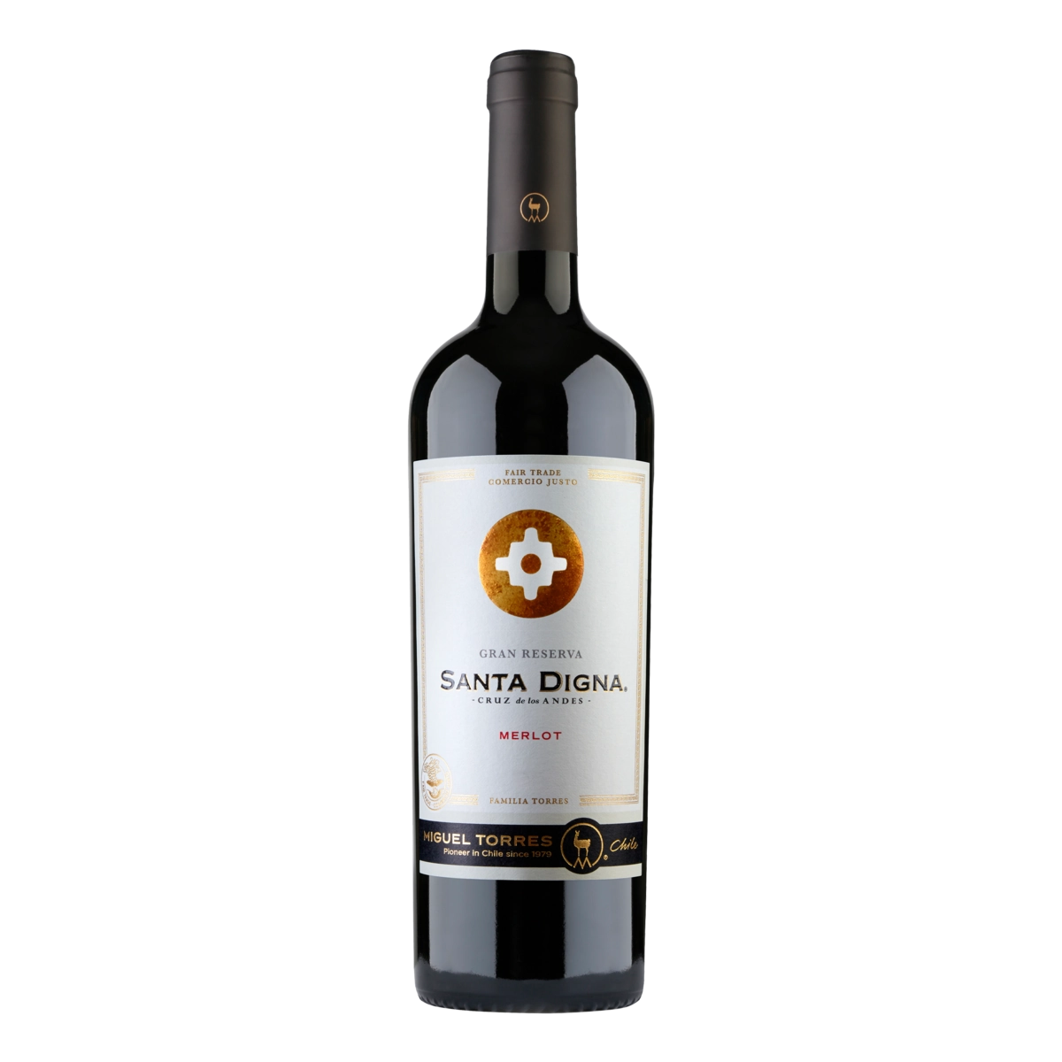Vinho Chileno Tinto Seco Gran Reserva Santa Digna Merlot Valle Central Garrafa 750ml