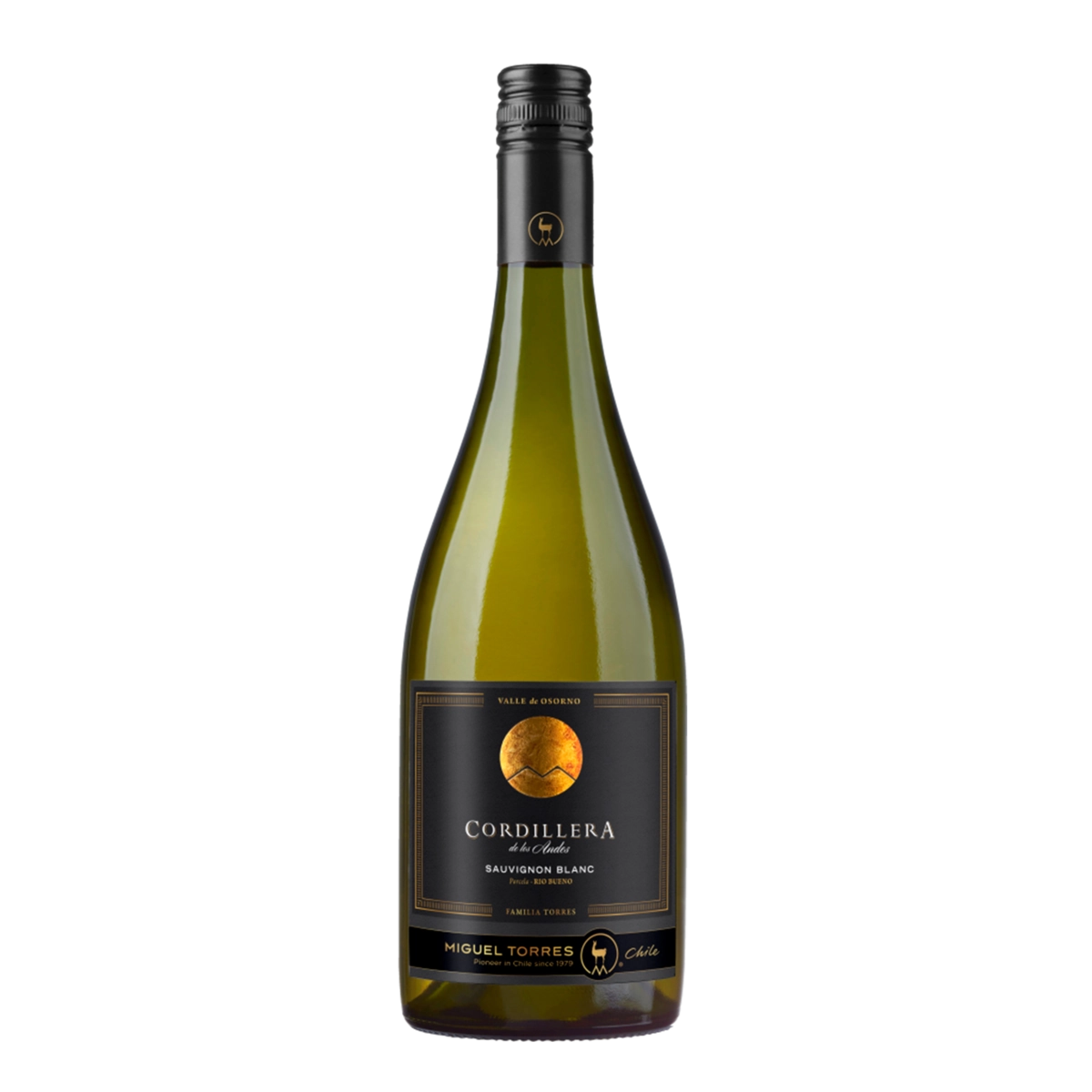 Vinho Miguel Torres Cordillera Sauvignon Blanc 2017 Branco Chile 750 ml