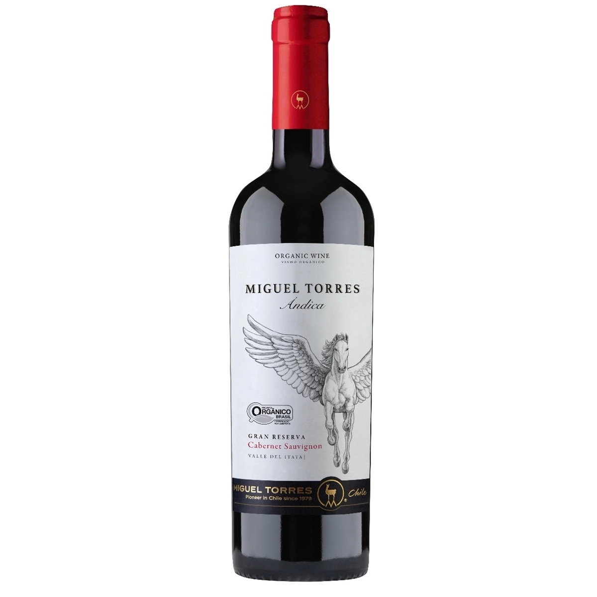 Vinho Miguel Torres 750ml Andica Cabernet Sauvignon