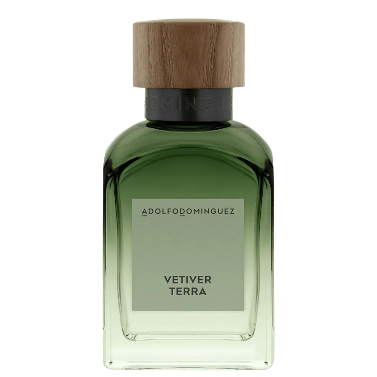 Perfume Adolfo Dominguez Vetiver Terra Masculino Eau de Parfum 120 ml