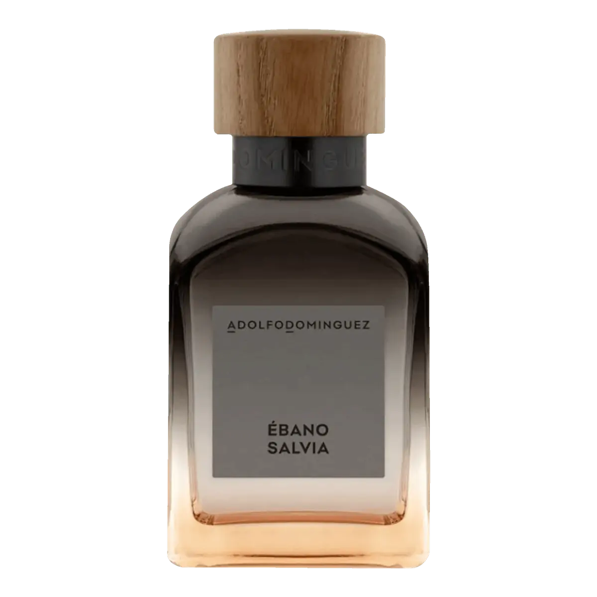 Perfume Adolfo Dominguez Ébano Salvia Masculino Eau de Parfum 120 ml