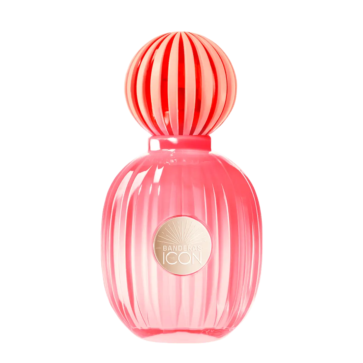 Antonio Banderas The Icon Splendid Eau De Parfum - Perfume Feminino - 50ml