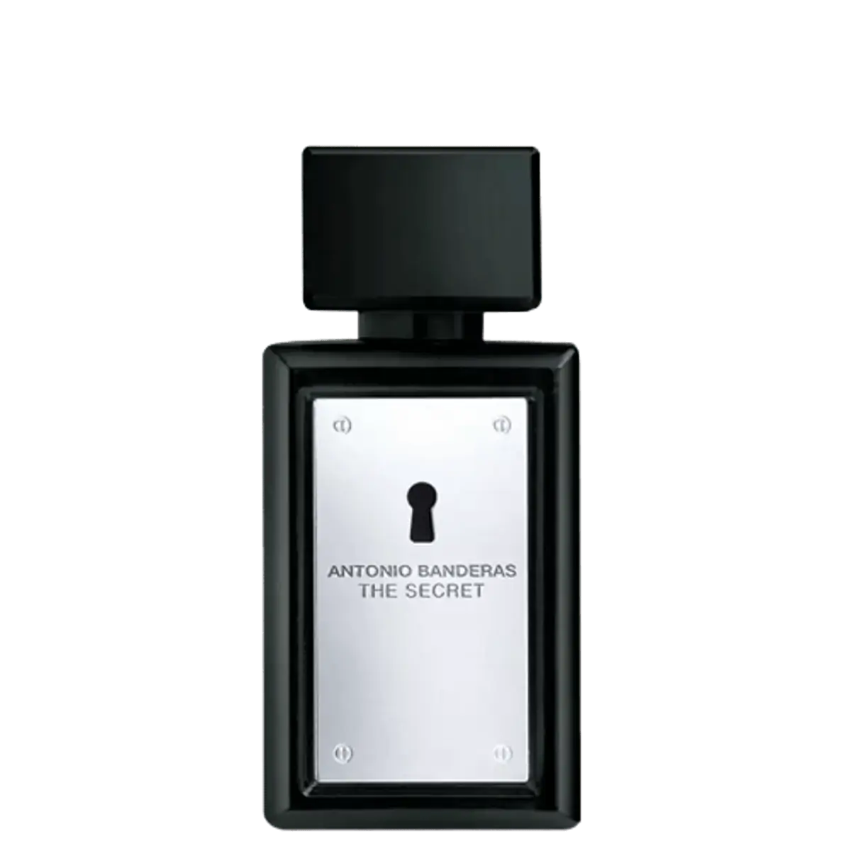 The Secret Masculino EDT com 30 ml