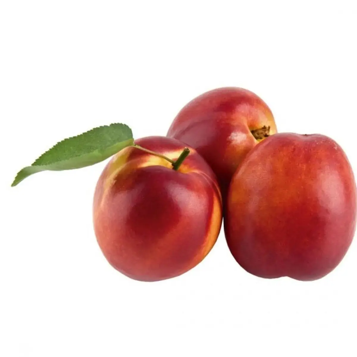 ORG NECTARINA 500G