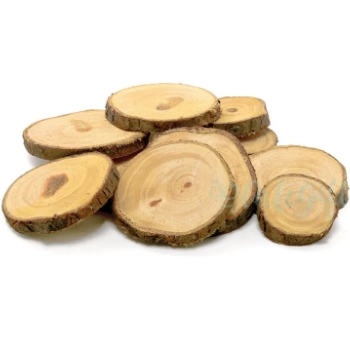 Tronco Decorativo Artgift