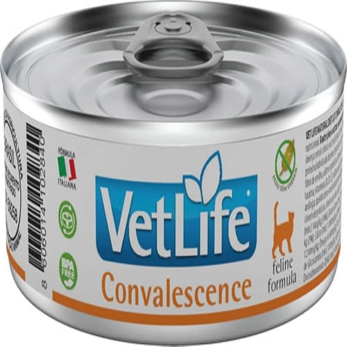 Vet Nat Feline Wet Convalescence 85g