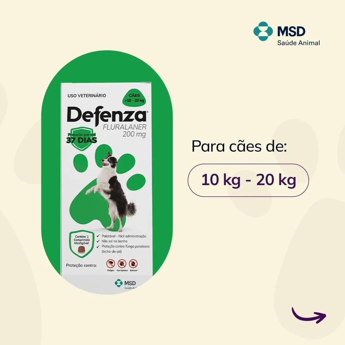 Defenza 10 20kg 200mg C/1 Unid