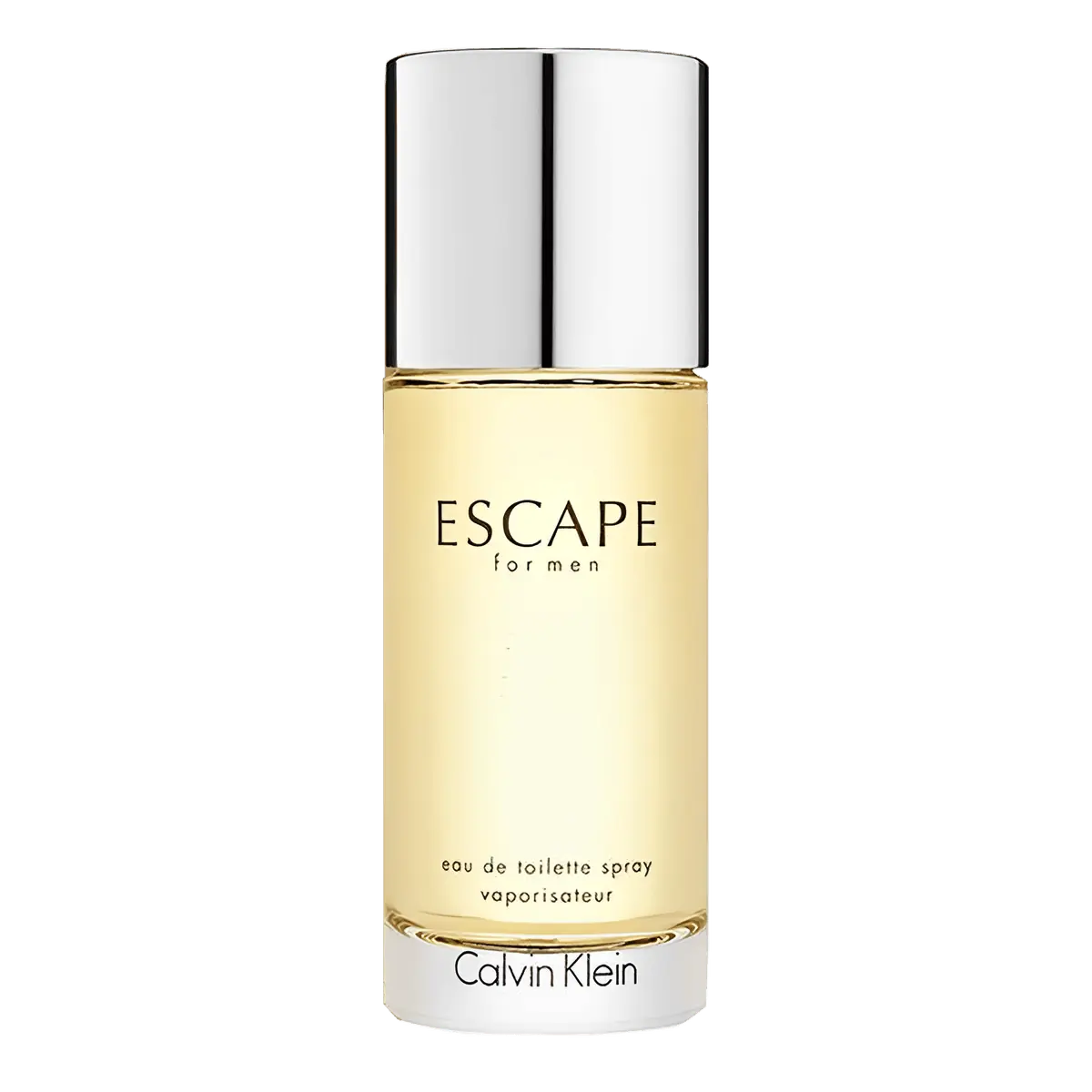 Calvin Klein Escape Eau de Toilette - Perfume Masculino 100ml 100ml