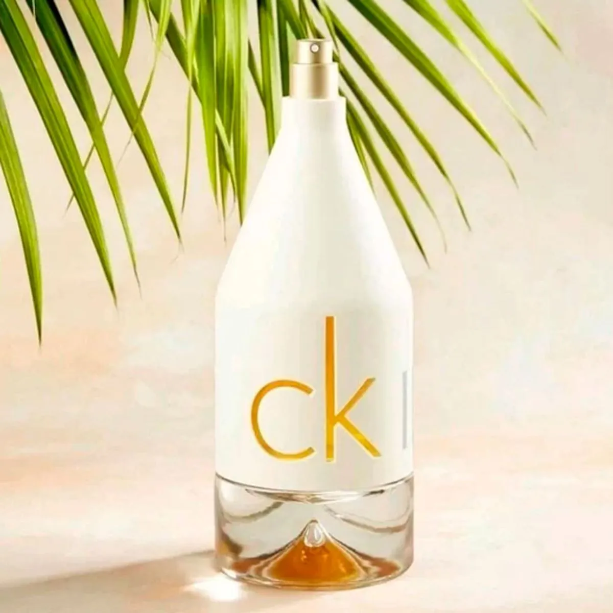 Perfume Calvin Klein CK in2U For Her Feminino Eau de Toilette 50 ml