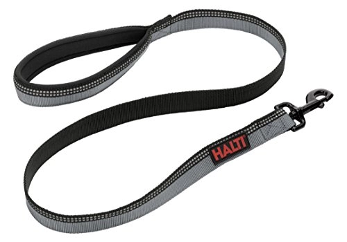 The Company Of Animals Halti Lead, Black, Small