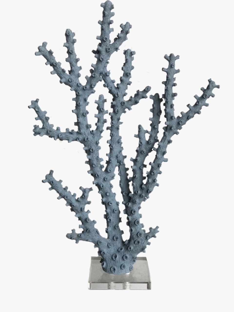 Coral Azul Crisaceo P R387 E A Design