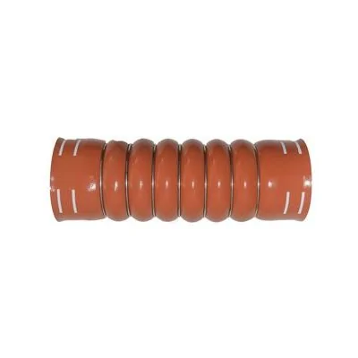 Mangueira do Intercooler Lado Direito - ROCHEPECAS 2W0117413F