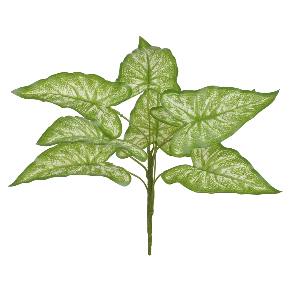 Folhagem Caladium Forracao Real Toque X9 40cm Verde Creme 43121002 Flor Arte