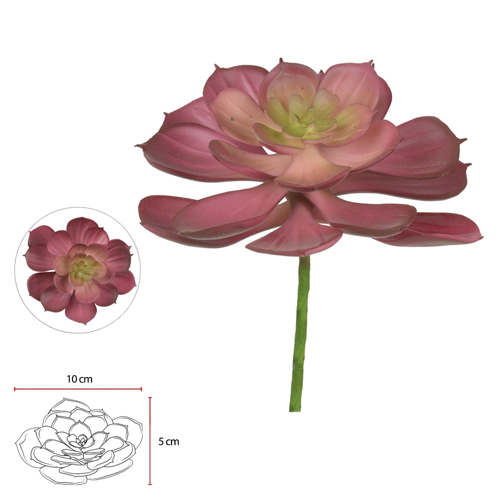 Suculenta 10cm Roxo 39299001 Flor Arte