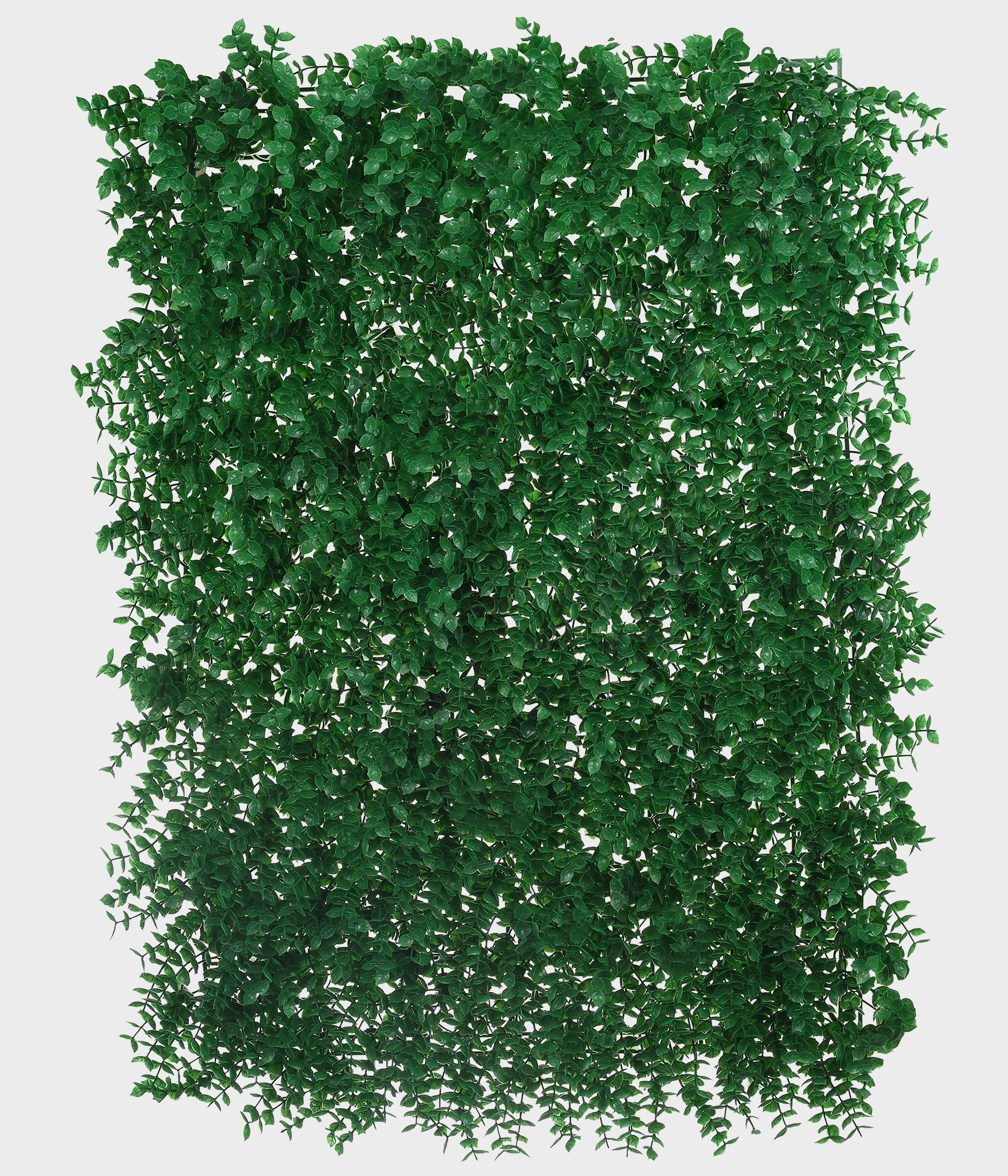 Placa Grama 40x60cm Inglesa Verde 49655 004 Grillo