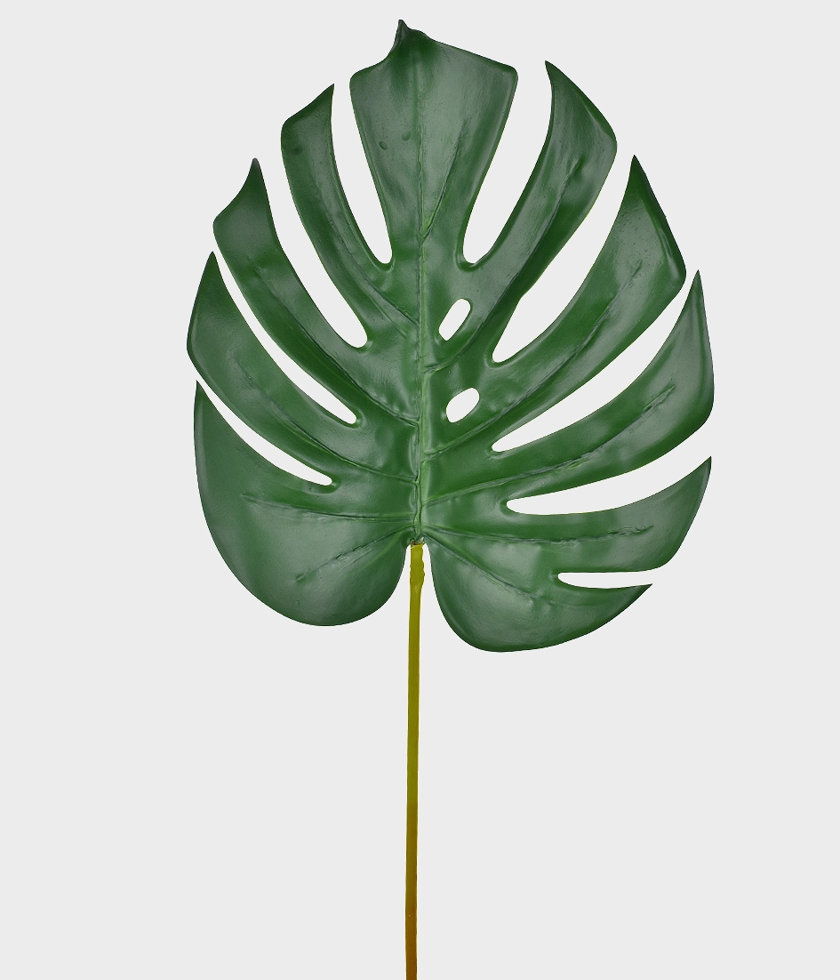 Folha Costela Adao Md Verde 48984 004 Grillo