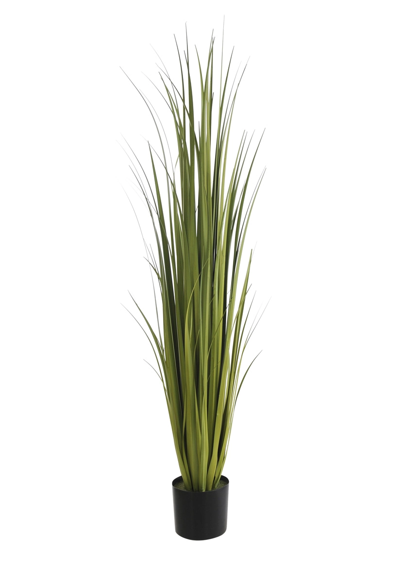 F Grass C Pote 1.5m Verde 2t 37213002 Flor Arte