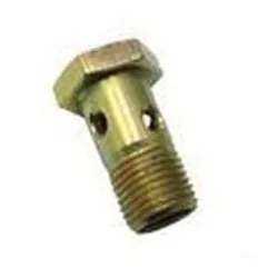 Parafuso Oco de Direção Hidráulica 16mm - BR COMPANY 812391