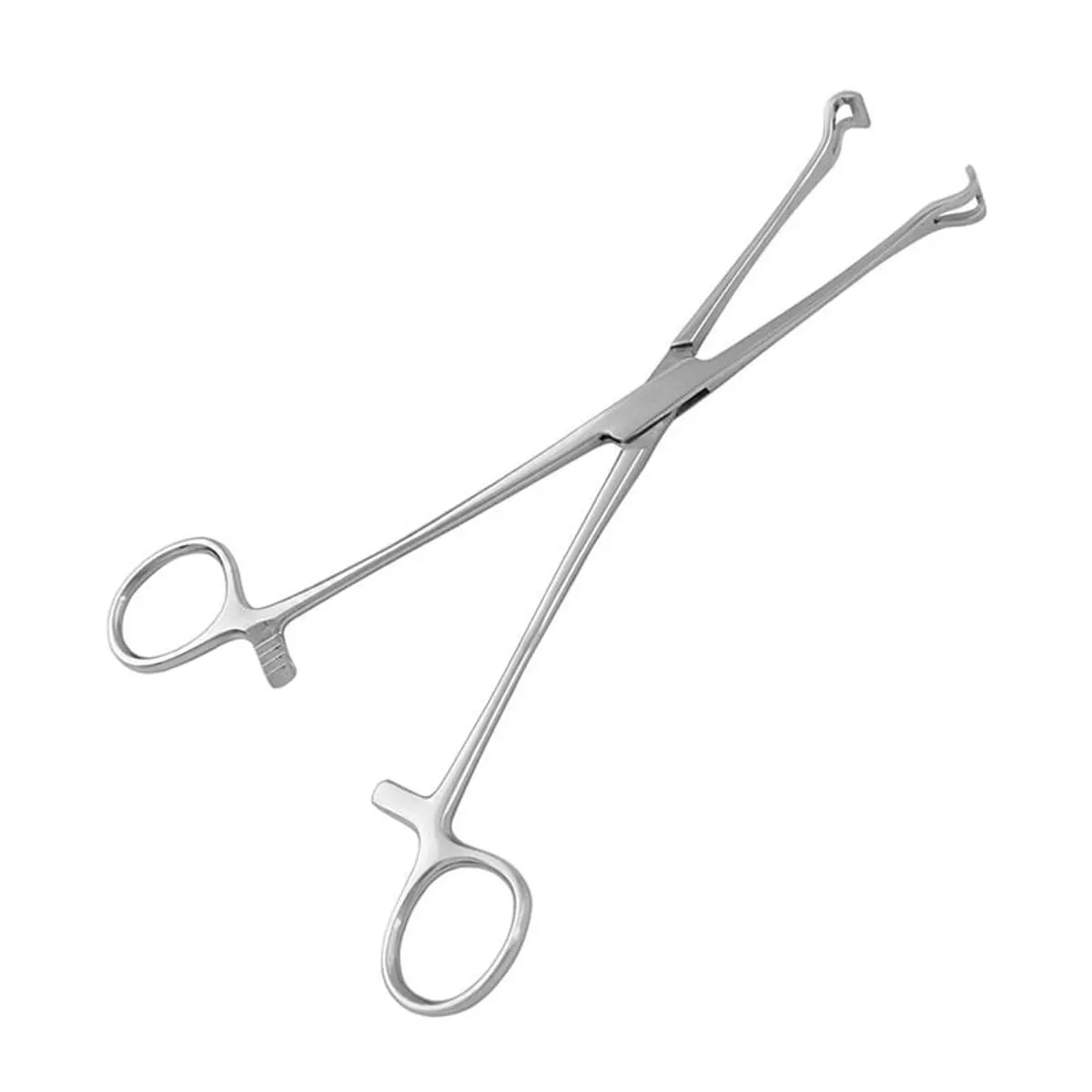 Pinça Babcock 16cm