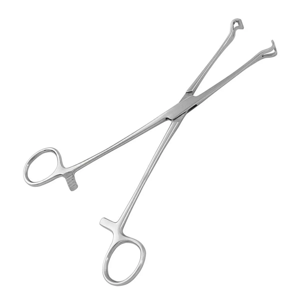 Pinça Babcock 20cm