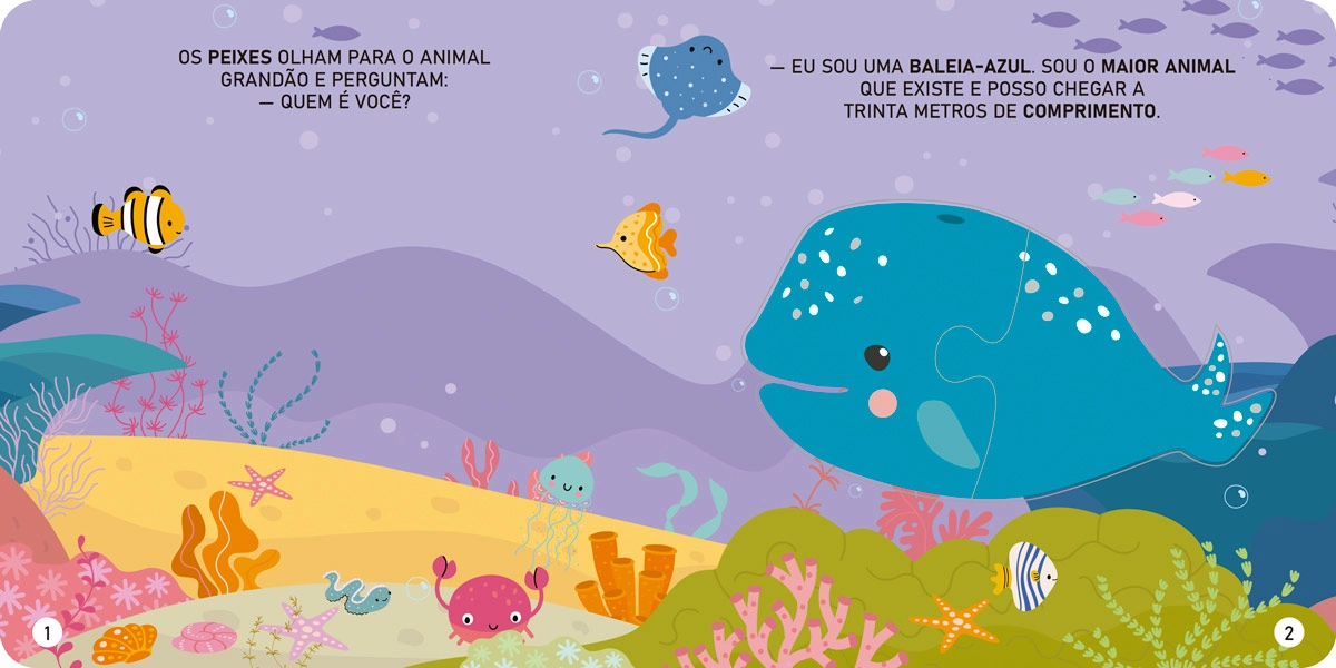 Livro Animais Do Mar 113592 Ciranda