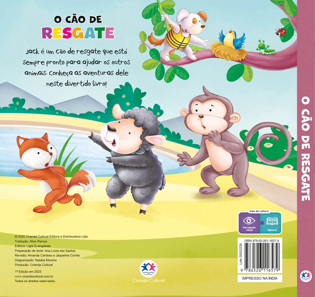 Livro O Cao De Regate 116579 Ciranda