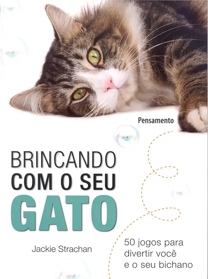 Brincando Com Seu Gato