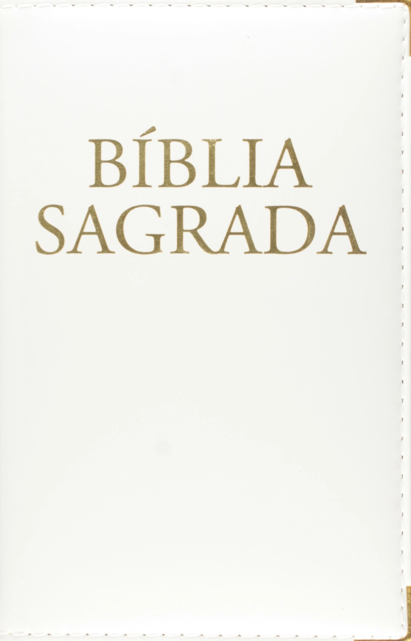 Biblia Sagrada Nova Traducao Na Linguagem De Hoje 900g Editora Paulinas