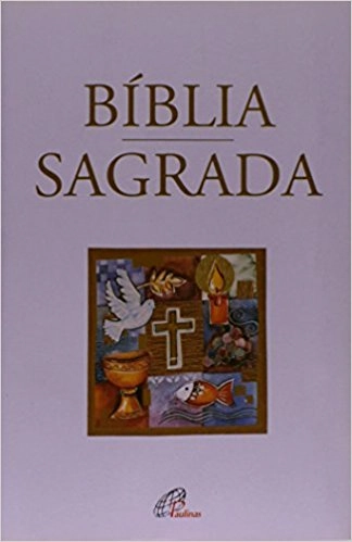 Biblia Sagrada Nova Traducao Na Linguagem De Hoje 680g Editora Paulinas