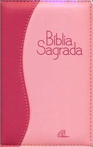 Biblia Sagrada Nova Traducao Na Linguagem De Hoje 720g Editora Paulinas