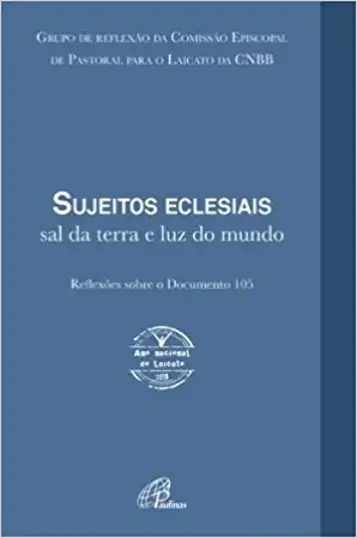 Sujeitos Eclesiais Sal Da Terra E Luz Do Mundo 160g Editora Paulinas