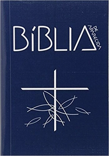 Biblia Sagrada De Aparecida Bolso 415g Editora Santuario