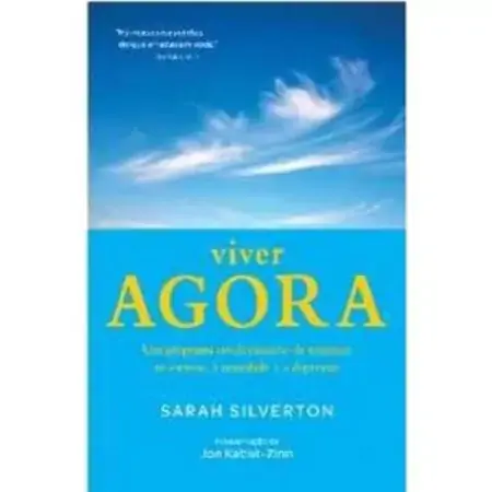 Viver Agora Um Programa Revolucionário De Combate Ao Estresse, à Ansiedade E à Depressão Sarah Silve