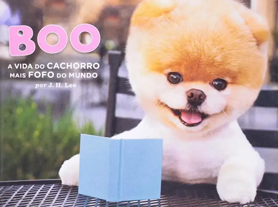 Rev Boo Vida Cachorro Fofo Mundo Un